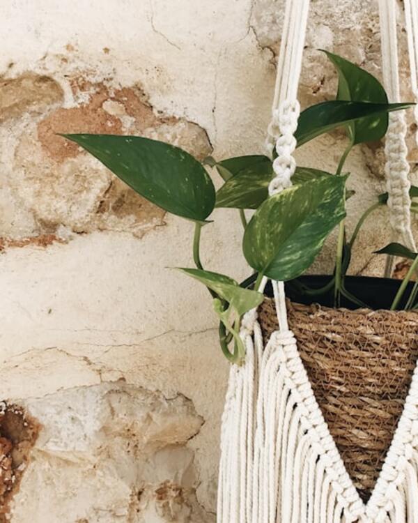 Macrame planter — 2