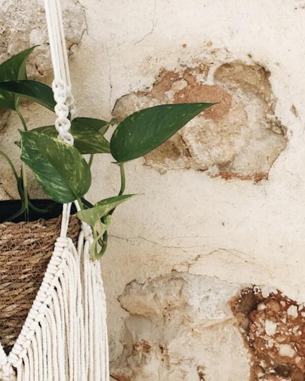 Macrame planter — 3