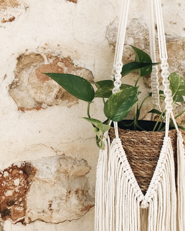 Macrame planter — 1